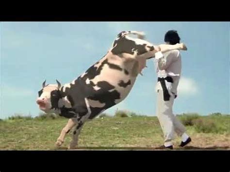 The Funny Man Vs Cow Fight - Funny PNG