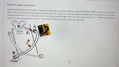 Solved We make a simple model for shoelaces. Focus on the | Chegg.com