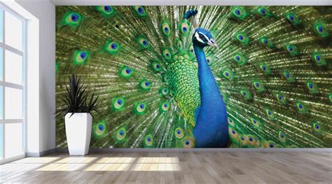 The Green Peacock Wallpaper | Evershine Wall