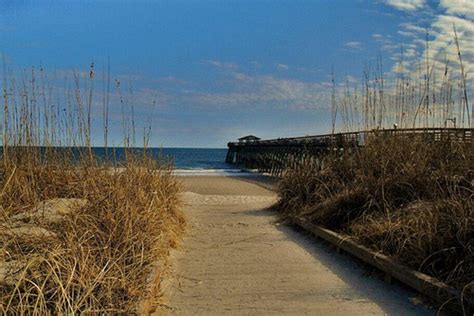 Myrtle Beach State Park: Myrtle Beach Attractions Review - 10Best ...