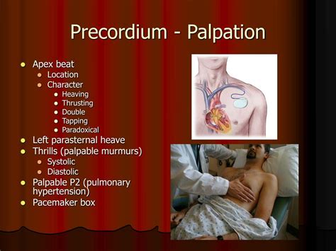 PPT - Introductory Clinical Skills Course Cardiovascular System ...