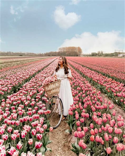 Best Tips for Visiting Tulip Fields in the Netherlands: Where, When ...