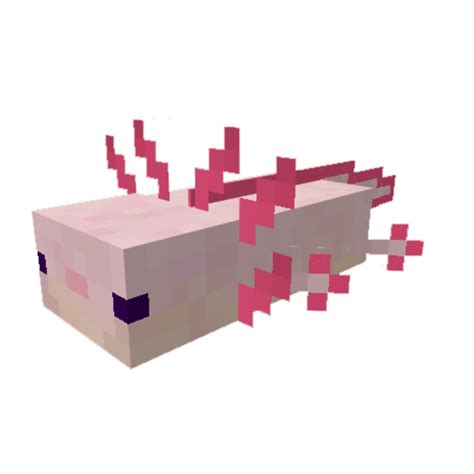 Minecraft Axolotl Skin Template