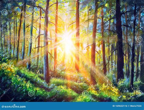 Oil Painting Canvas Sunset Or Sunrise In Forest Landscape. Sun Sunshine ...