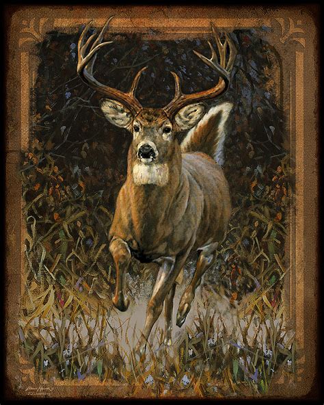 Whitetail Buck Paintings