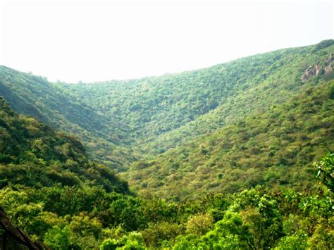 Eastern Ghats Wildlife Society