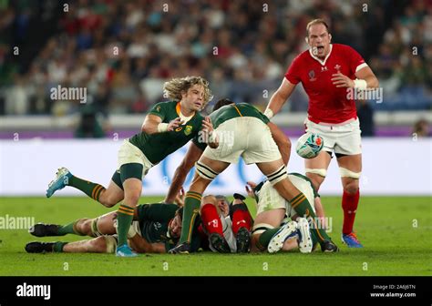 South Africa's Faf de Klerk in action during the 2019 Rugby World Cup ...