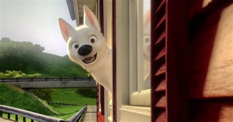 The Most Essential Animated Dog Movies, Ranked