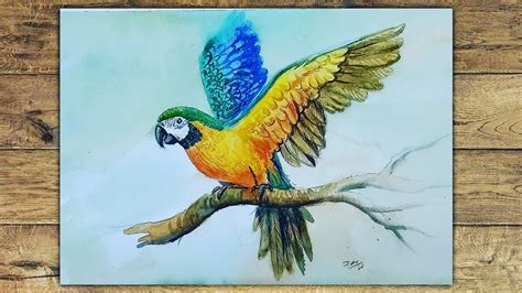 Incredible Compilation of 999+ Parrot Drawing Images - Stunning ...