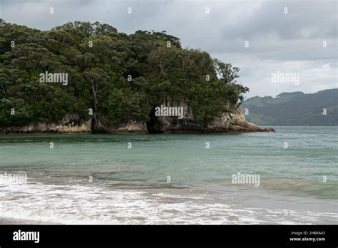 Cooks beach at Purangi in New Zealand Stock Photo - Alamy