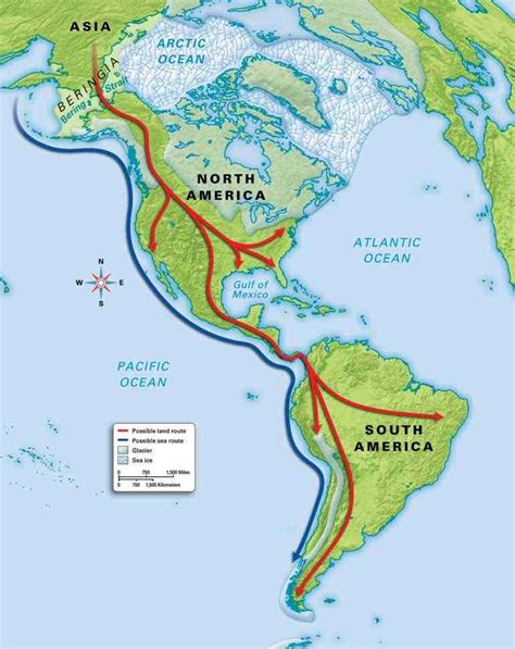 DNA Results For Paracas Elongated Skulls - Hidden Inca Tours 4th Grade ...