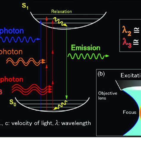 (PDF) Two-photon excitation fluorescence microscopy and its application ...