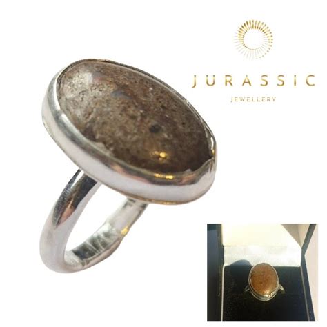 Fossil Dinosaur Bone Ring - Sterling Silver | XMAS 2022 - 1