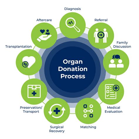 Organ Donation Process - Lifeline of Ohio