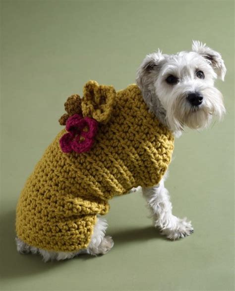 Free Dog Sweater Crochet Patterns - Psychedelic Doilies