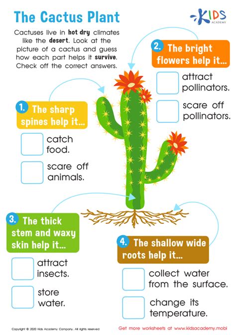 Plants - Plant Adaptations for Grade 1