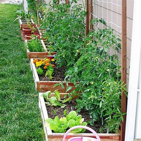 3 Types of Sustainable Gardening – ReStory