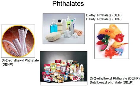 Phthalates In Makeup Products | Saubhaya Makeup