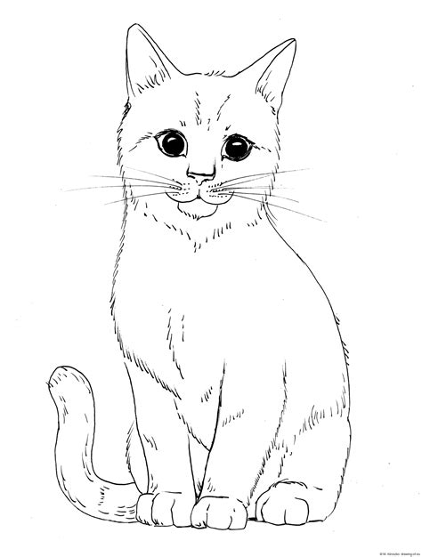 Cat draw – Line art illustrations