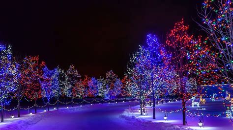 Winter Lights Lanterns Christmas Road Time Magic Merry Trees Snow Snowy ...