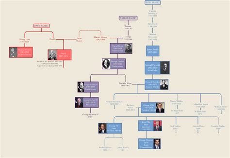 The Bush Family : r/UsefulCharts