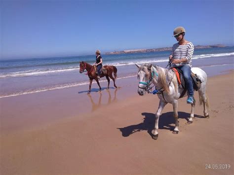 Agadir: Beach Sunset Horse Riding Tour With Transfer