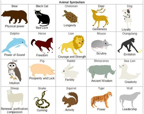 the different types of animals and their names