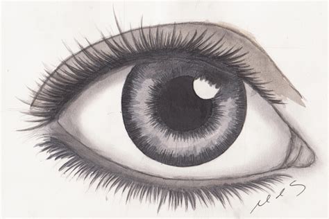 Great How To Draw Cartoon Eyes With Pencil of all time Don t miss out ...