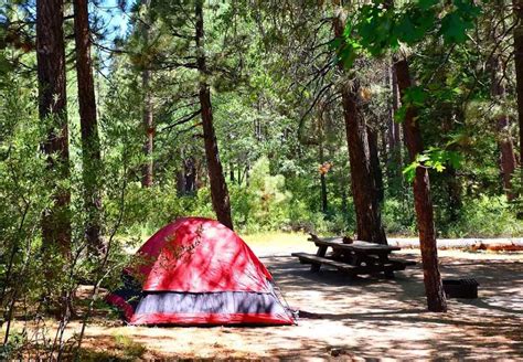 10 Great Big Bear Lake Camping Spots - Go Travel California