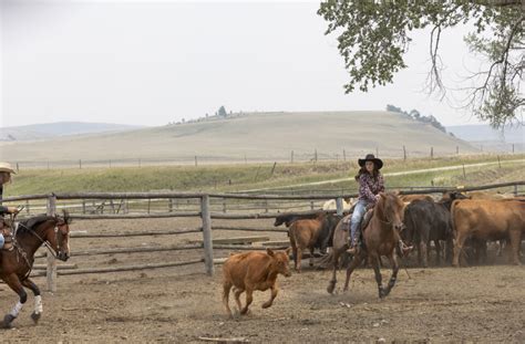 Circle Bar Guest Ranch, Hobson, Montana - Montana Dude Ranchers Association