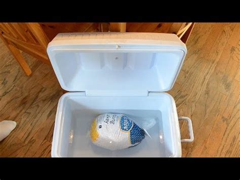 How to Defrost a Frozen Turkey? - Top Cookery