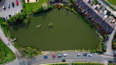 Please help us seek funding to restore Gresford Lake's biodiversity Survey