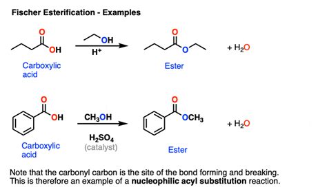 Fischer Esterification - Carboxylic Acid to Ester Under Acidic ...