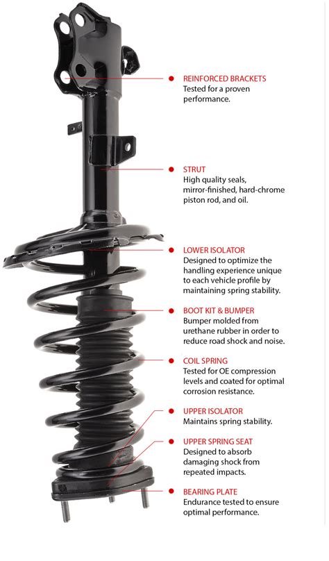 Complete Strut assembly | Worldparts