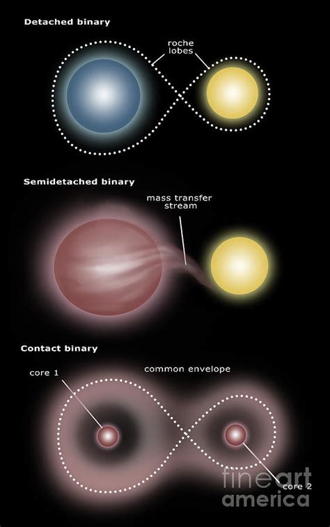 Binary Star System Diagram