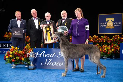 National Dog Show Winners Through the Years