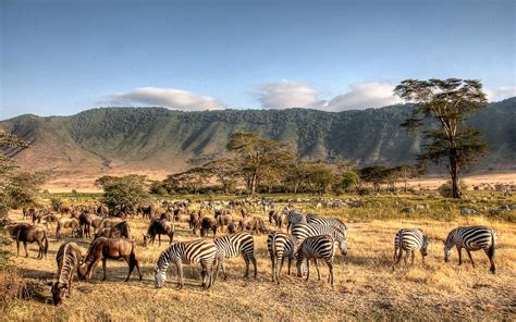 Crater of life - Serengeti National Park