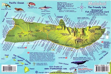 Molokai, Hawaiian Islands, Reef Creatures Map & Fish Card by Frankos M ...