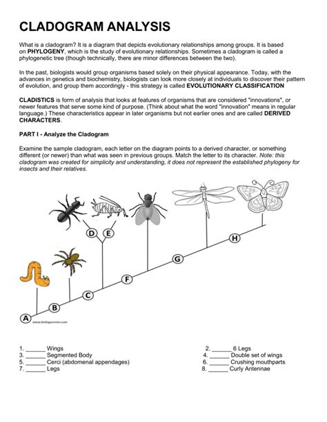 Cladograms