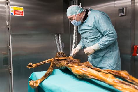 Ötzi the Iceman died 5,300 years ago, but he still needs regular ...