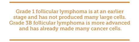 Understanding Stages of Follicular Lymphoma | MyLymphomaTeam