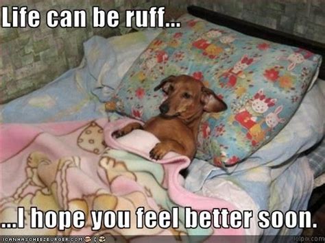 Life can be ruff... ...I hope you feel better soon. | Feel better ...