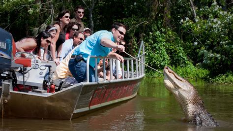 Covered Swamp Boat Tour For One, Two, Or Four From Bayou Swamp Tours ...