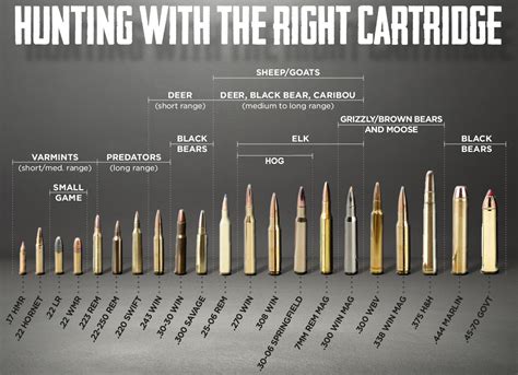 Hunting Rifle Ballistics Chart