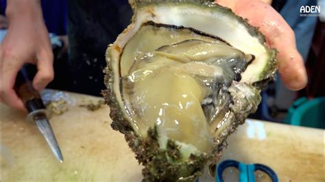 Japanese Street Food: Giant Oysters - YouTube