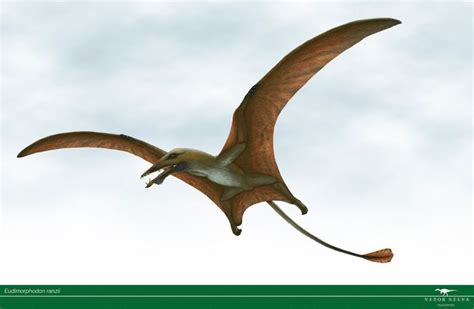 Eudimorphodon by Vitor-Silva on DeviantArt | Prehistoric animals ...