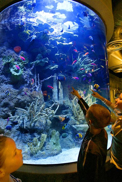 The Houston aquarium has more than 300 species of life from around the ...