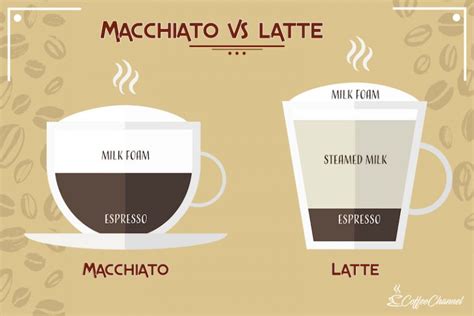 Macchiato vs Latte: The Main Differences (With Pictures) | Coffee Affection