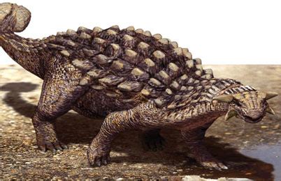 Ankylosaurus dinosaur, Facts | Pictures - Ankylosaurus Habitat