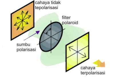 polarisasi